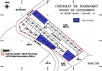 des Lots de terrains a ne pas rater à Hammamet