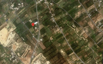 un terrain ayant un titre individuel plantés avec des agrumes à Hammamet nord 