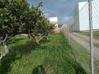 Un terrain nu ayant un titre individuel sur la deuxième position de la route principal à Hammamet nord