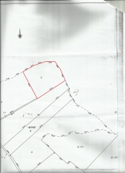 un terrain de 3h 2500m2 à Hammamet sud