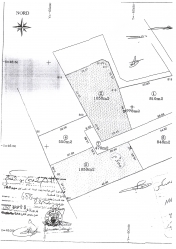 Vente d’un lot de Terrain de 1050 m²à Hammamet centre 