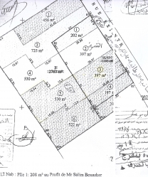 Vente lot de Terrain à Hammamet centre 