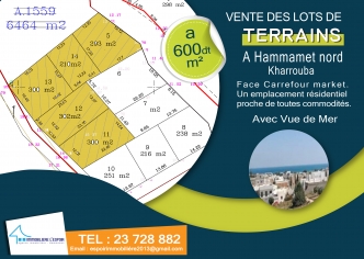 Vente des lots de terrains à Hammamet nord avec vue de mer