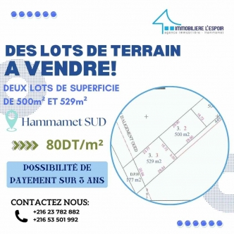 Lot de terrain a vendre a Hammamet Sud