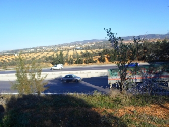 Terrain agricole arborés par des oliviers à Hammamet 