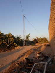 Un terrain vu de mer de 5h arborés par 600 oliviers à Hammamet